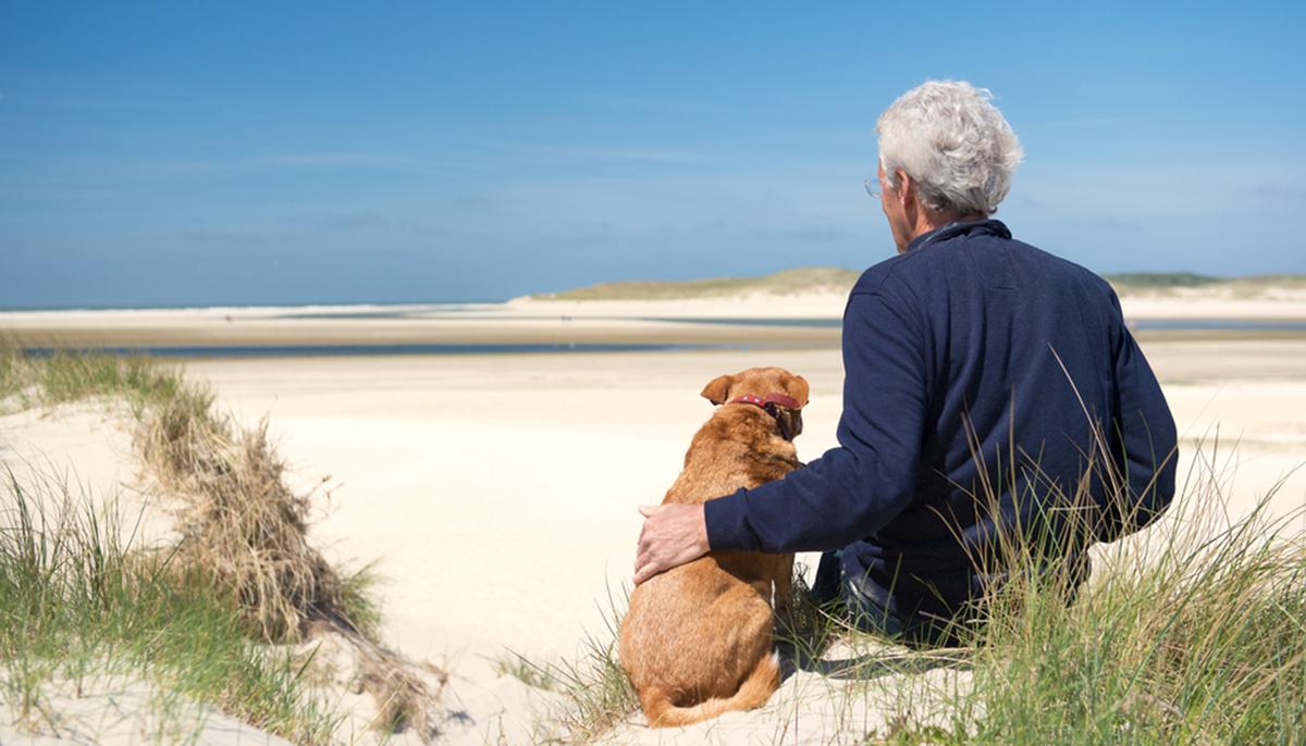 Dying Veteran in Hospice Requests to Reunite With His Dog One Last Time, and the Photos Go Viral