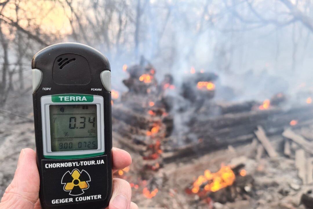 Chernobyl Radiation Back to Normal After Spike at Forest Fire Site