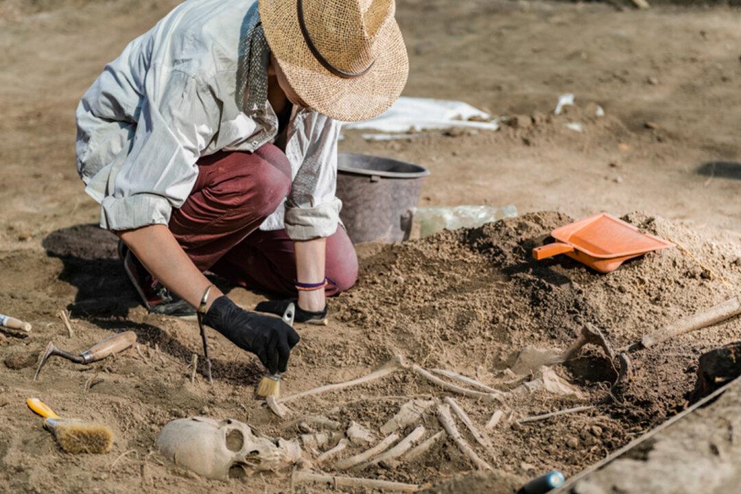 Scientists Discovered the Oldest Human Plague From 5,000-Year-Old Remains of a Woman