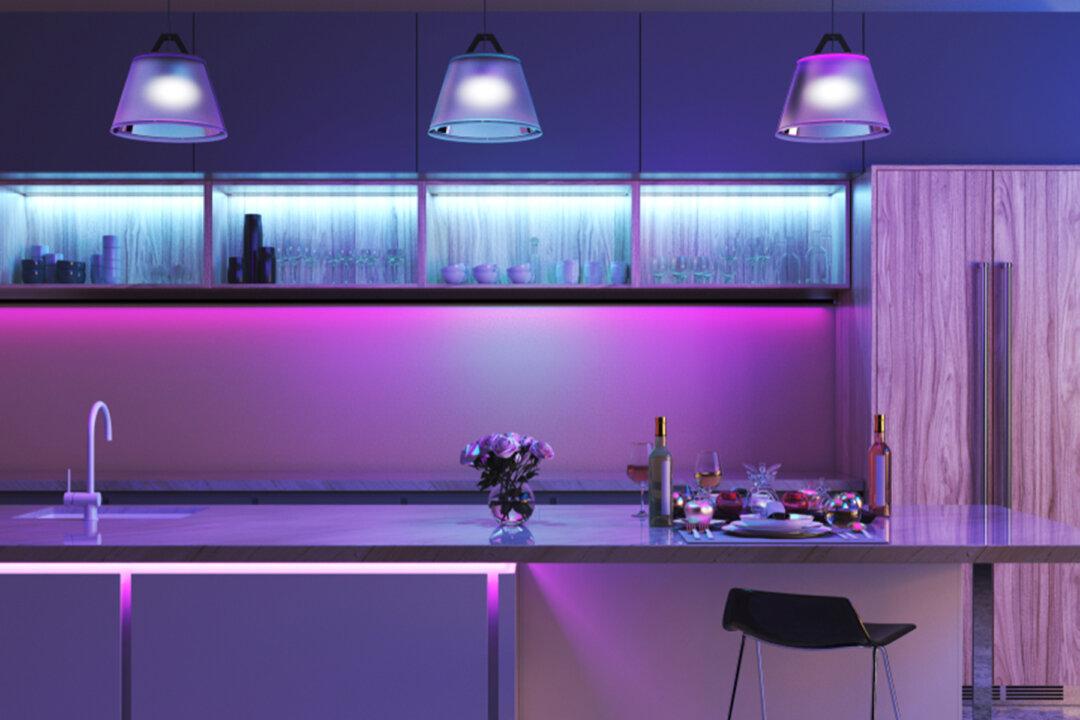 This Family House for Sale Looks Normal on the Outside, but It’s Totally PURPLE on the Inside