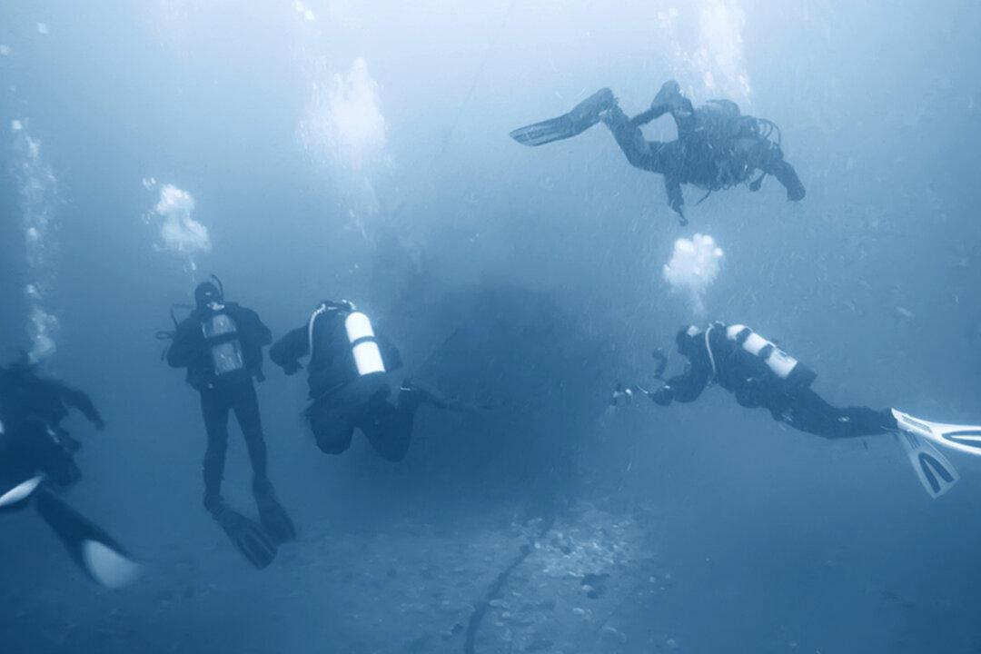 Scientists Believe 60,000-Year-Old Underwater Forest May Yield New Life-saving Medications
