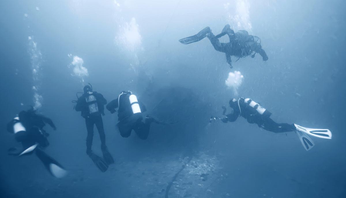 Scientists Believe 60,000-Year-Old Underwater Forest May Yield New Life-saving Medications