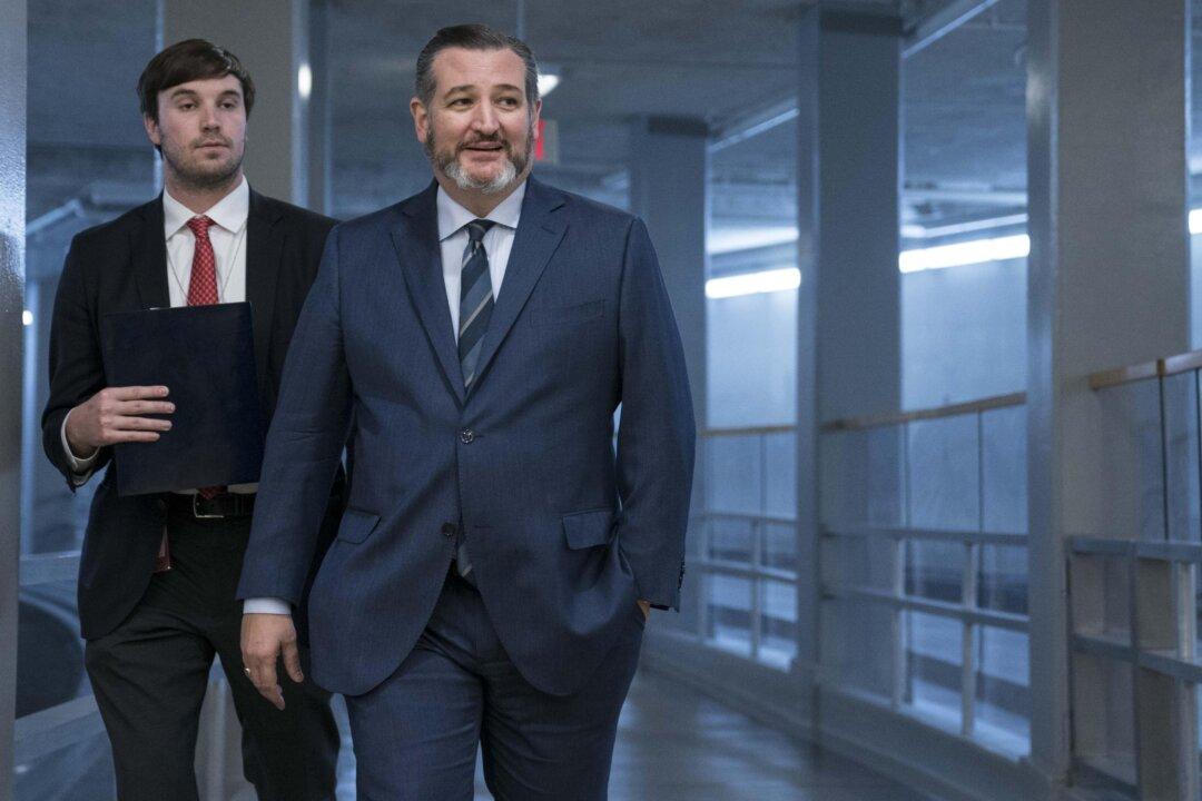 Time to Get Texans Back to Work, ‘In Reasonable Steps,’ Cruz Says