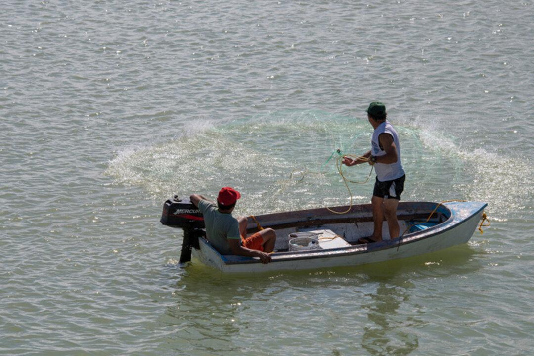 Fisherman Snags Prehistoric Skull & Antler Fossil of 10,500-Year-Old Giant Elk in Irish Lake