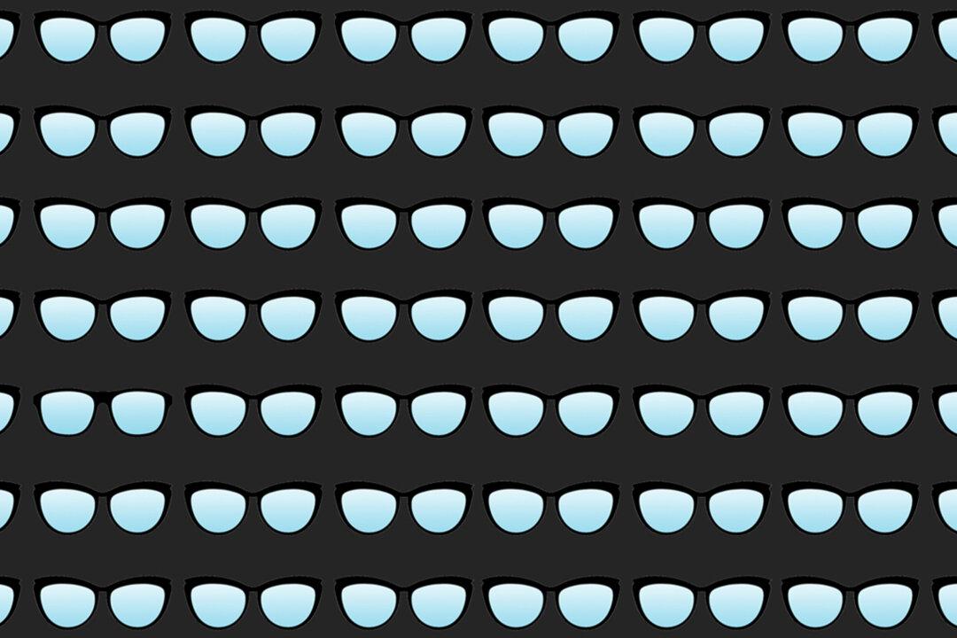 Can You Find the Odd Pair in this Picture Puzzle? You'll Need Eagle Eyes to Get #5