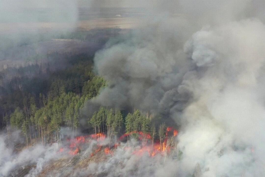 New Fires Fanned by Strong Winds Flare Near Chernobyl in Ukraine