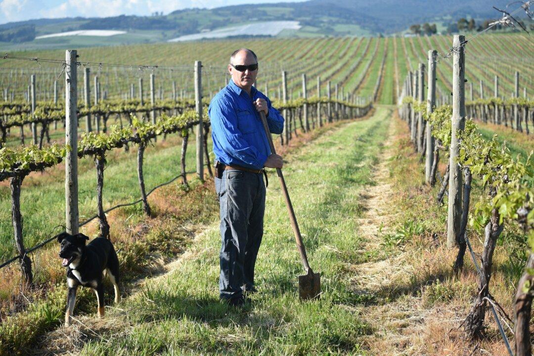 Australia’s Food Supply Secure Amid Virus