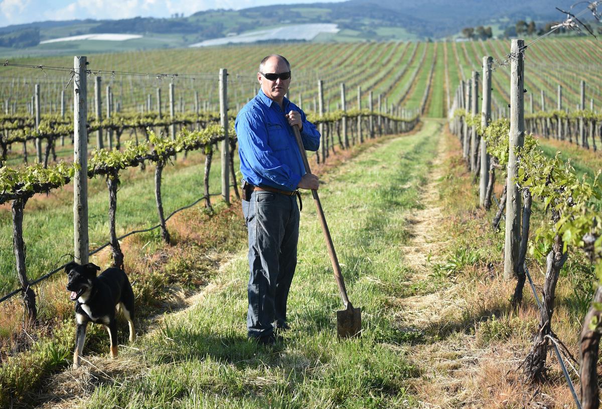 Australia’s Food Supply Secure Amid Virus