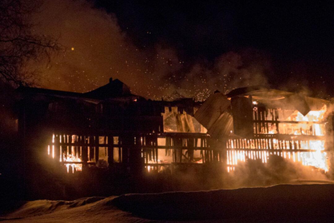 16-Year-Old Boy Drives Through Burning Barn to Save 14 Clydesdale Horses Trapped Inside