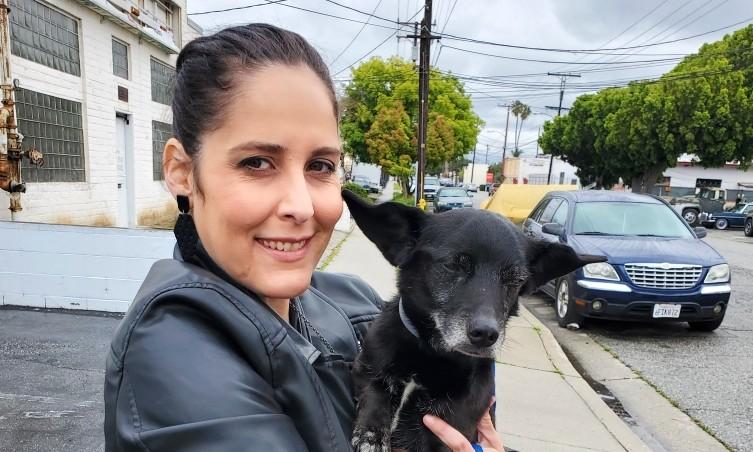 Adopting Pets—a Pandemic Trend Helping Raise Spirits