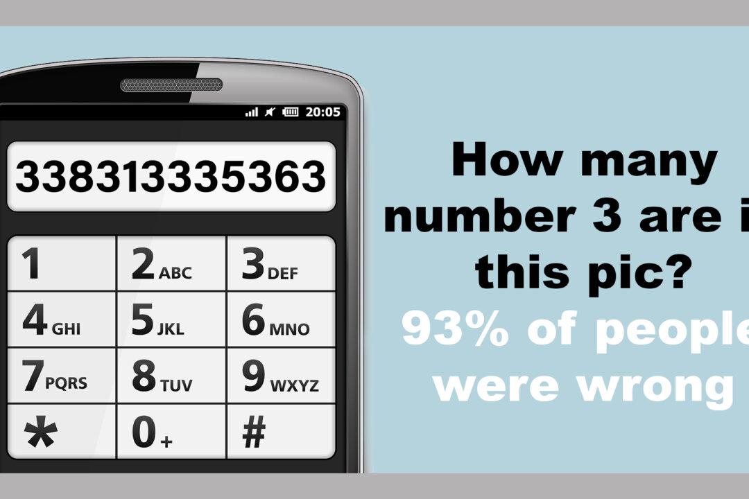 Eagle-Eyed Netizens Only: How Many Number 3s Can You Count in This Puzzle?