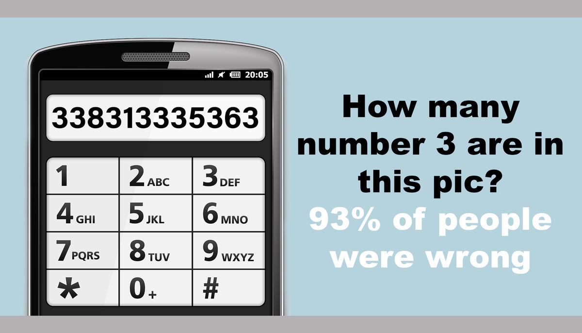Eagle-Eyed Netizens Only: How Many Number 3s Can You Count in This Puzzle?