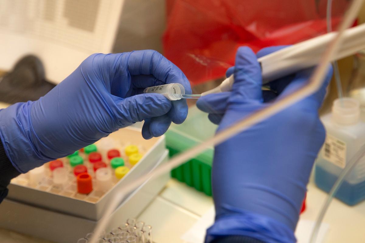 Most Antibody Tests Not Validated, Unclear Whether Recovered People Are Immune to Virus: Fauci