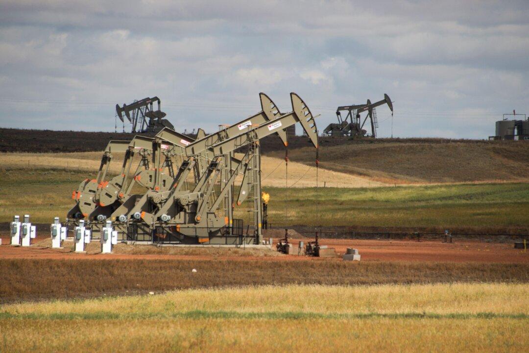 Negative Oil Prices Are ‘Short-Term Disruption,’ Trump Adviser Says