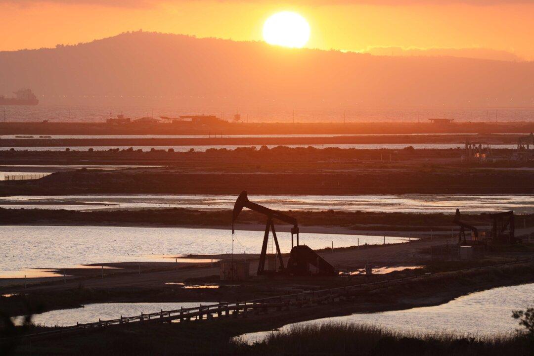 Top Oil Companies Sharply Slow Search for New Fossil Fuels