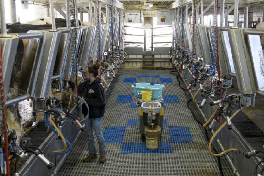 While the Economy Goes Bust, Farm-to-Table Booms