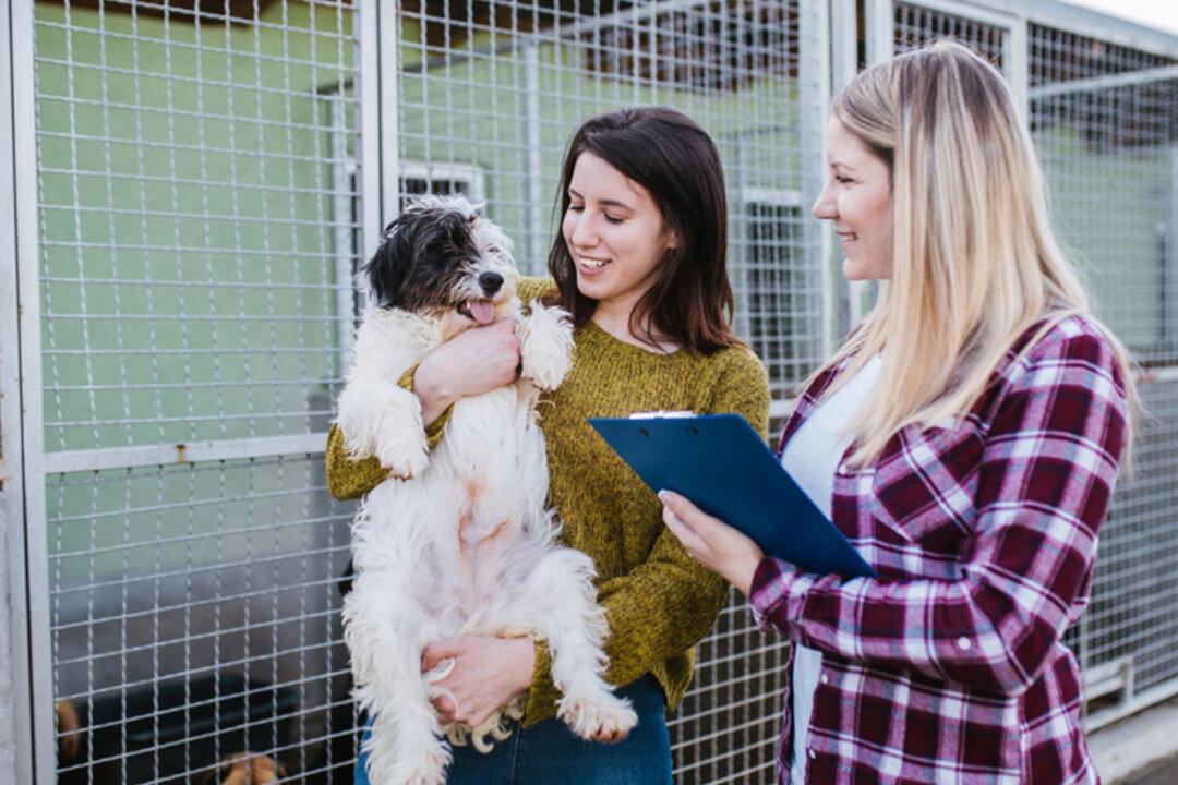 Florida Animal Shelter Boasts Empty Kennels ‘for the First Time in History’ After All Dogs Adopted