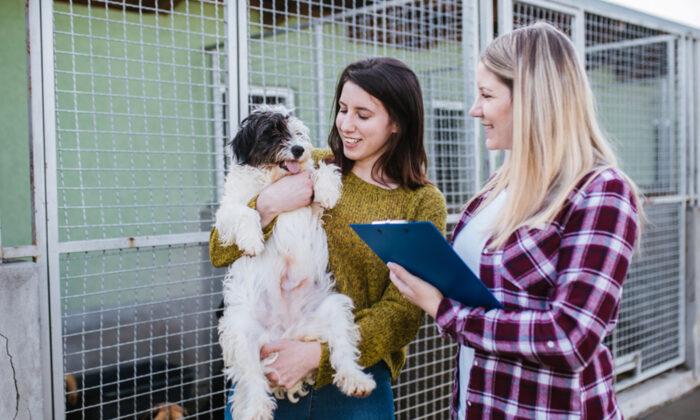Florida Animal Shelter Boasts Empty Kennels ‘for the First Time in History’ After All Dogs Adopted