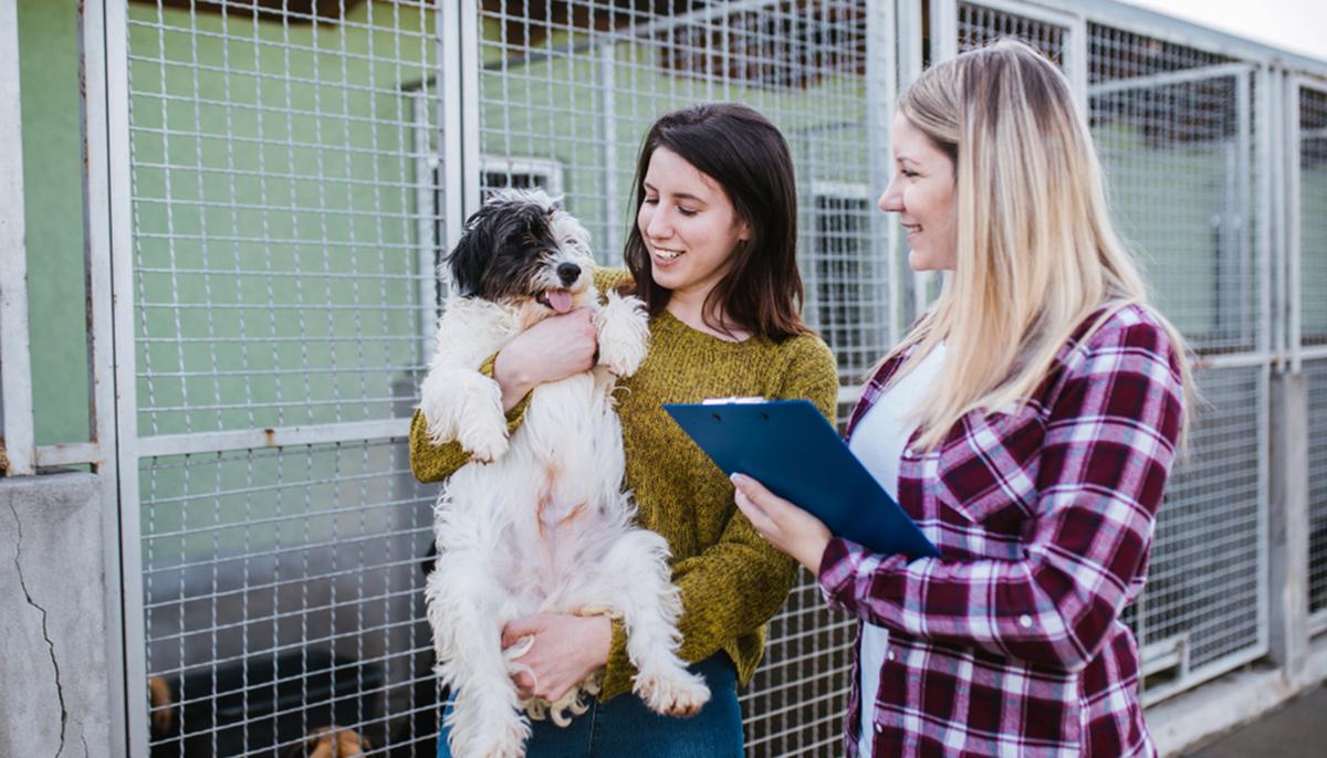 Florida Animal Shelter Boasts Empty Kennels ‘for the First Time in History’ After All Dogs Adopted