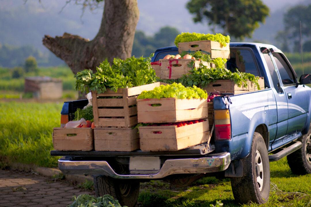 Malaysian Farmer Donates Vegetables Amid the CCP Virus Crisis to Prevent Wastage