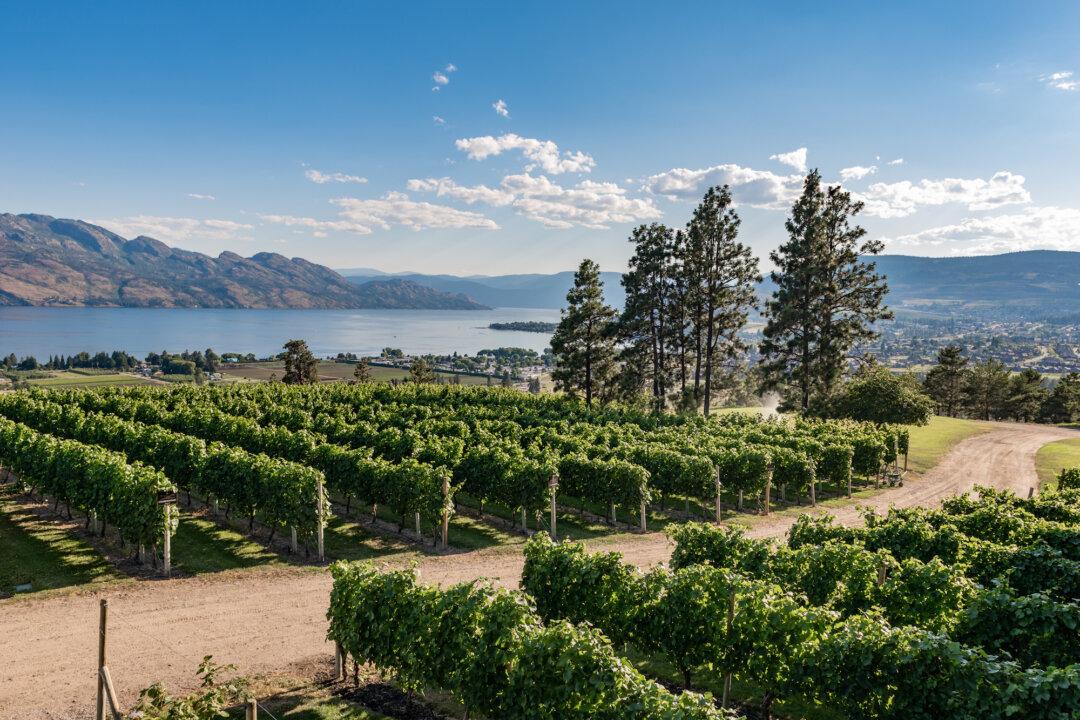 Okanagan Valley: The Edge of Viticulture