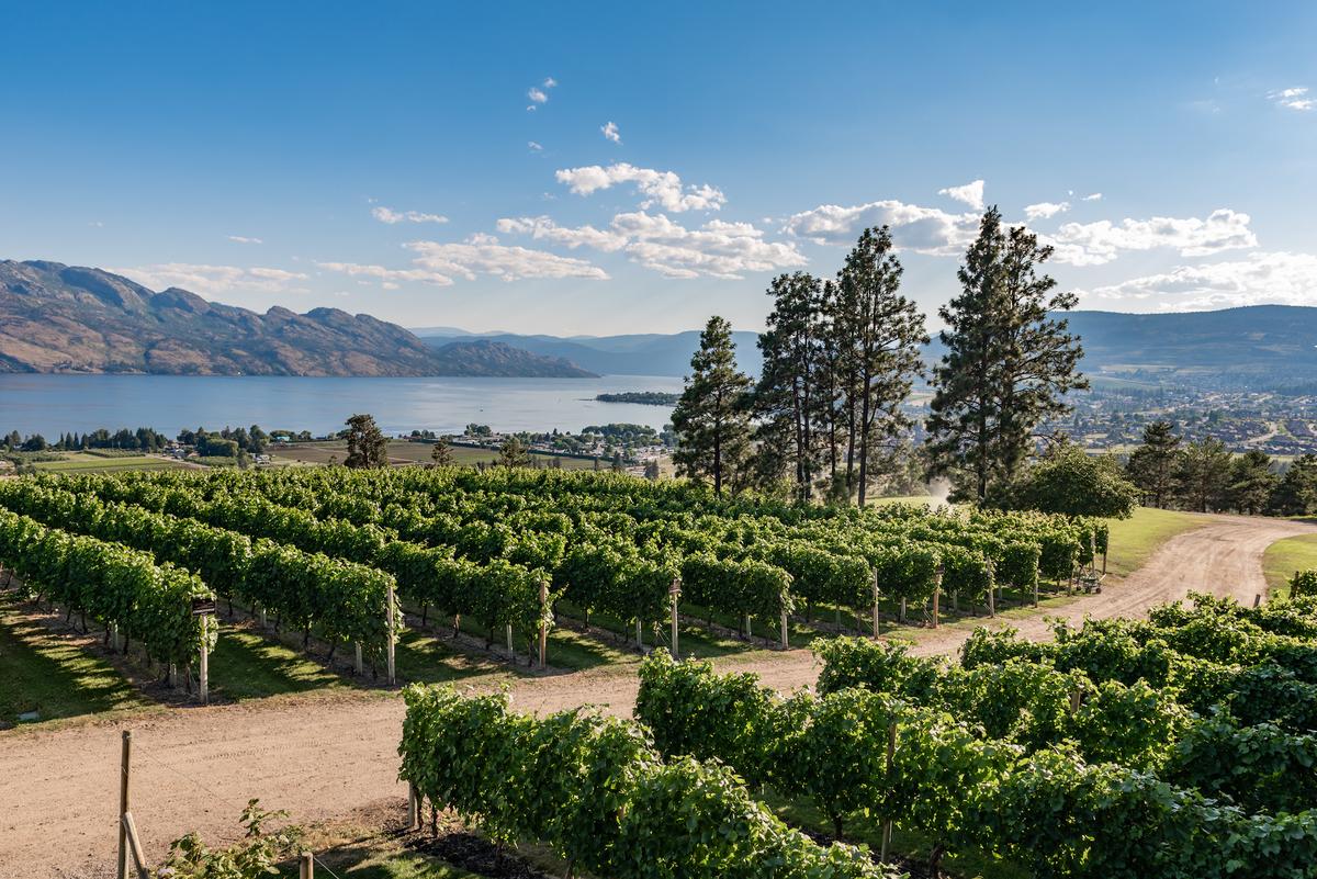 Okanagan Valley: The Edge of Viticulture