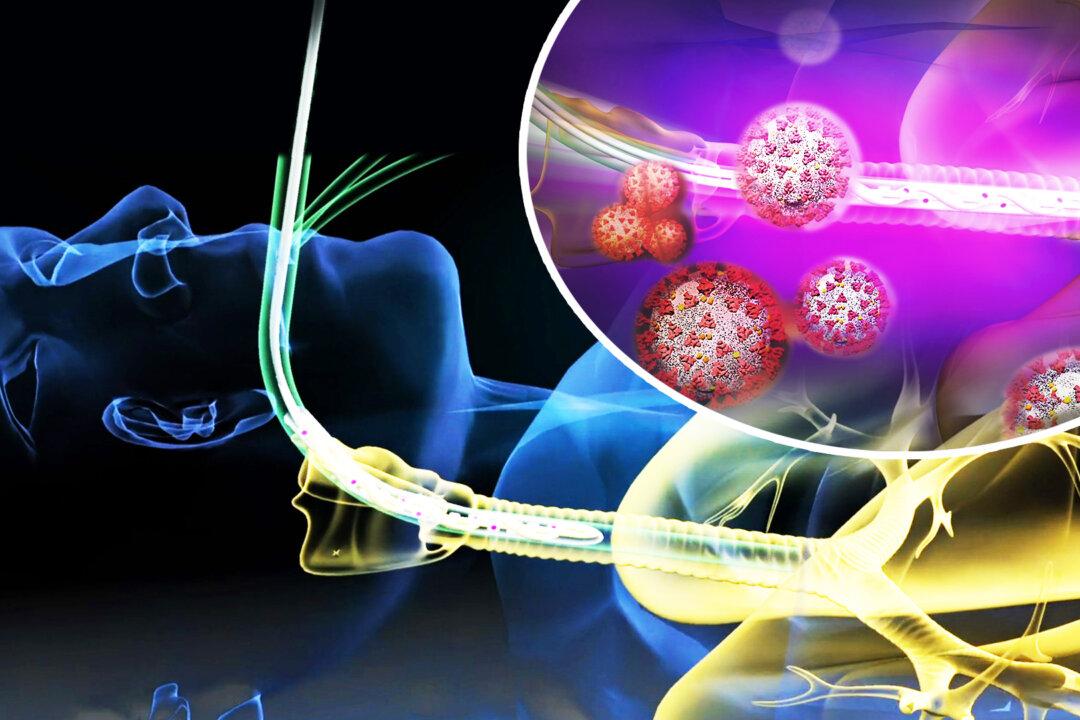 UV Rays Emitted Inside Trachea Could ‘Eradicate’ Viruses and Bacteria