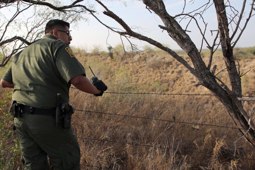 Border Patrol Agents Intercept Smugglers and Find 4-Month-Old Tiger Cub in Duffle Bag