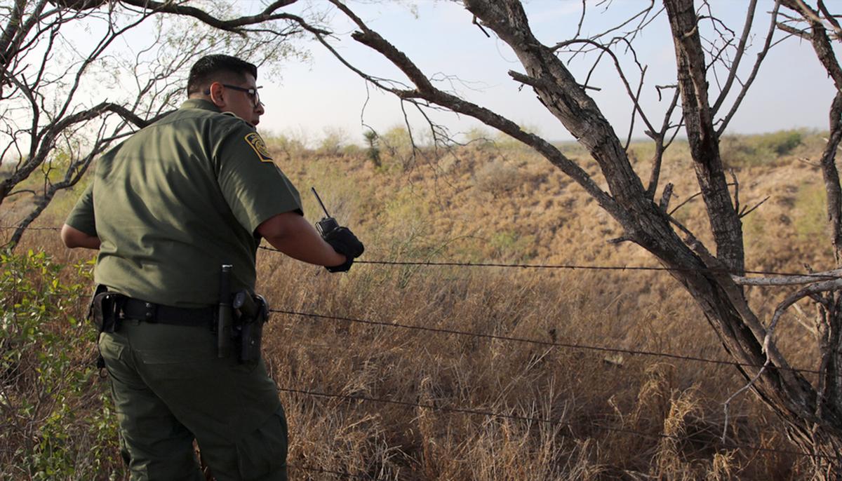Border Patrol Agents Intercept Smugglers and Find 4-Month-Old Tiger Cub in Duffle Bag