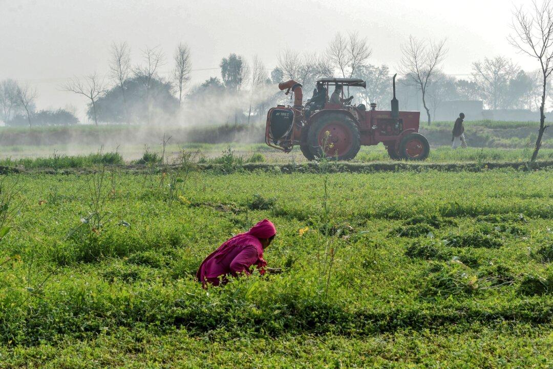EPA’s Denial of Environmental Group’s Petition to Regulate Pesticide-Coated Seeds Backed by Federal Judge