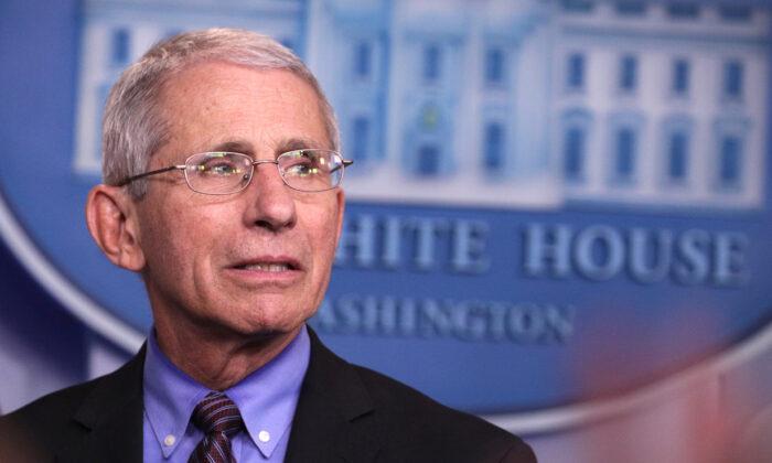 Swine Flu From China Could Cause Another Pandemic, Fauci Says