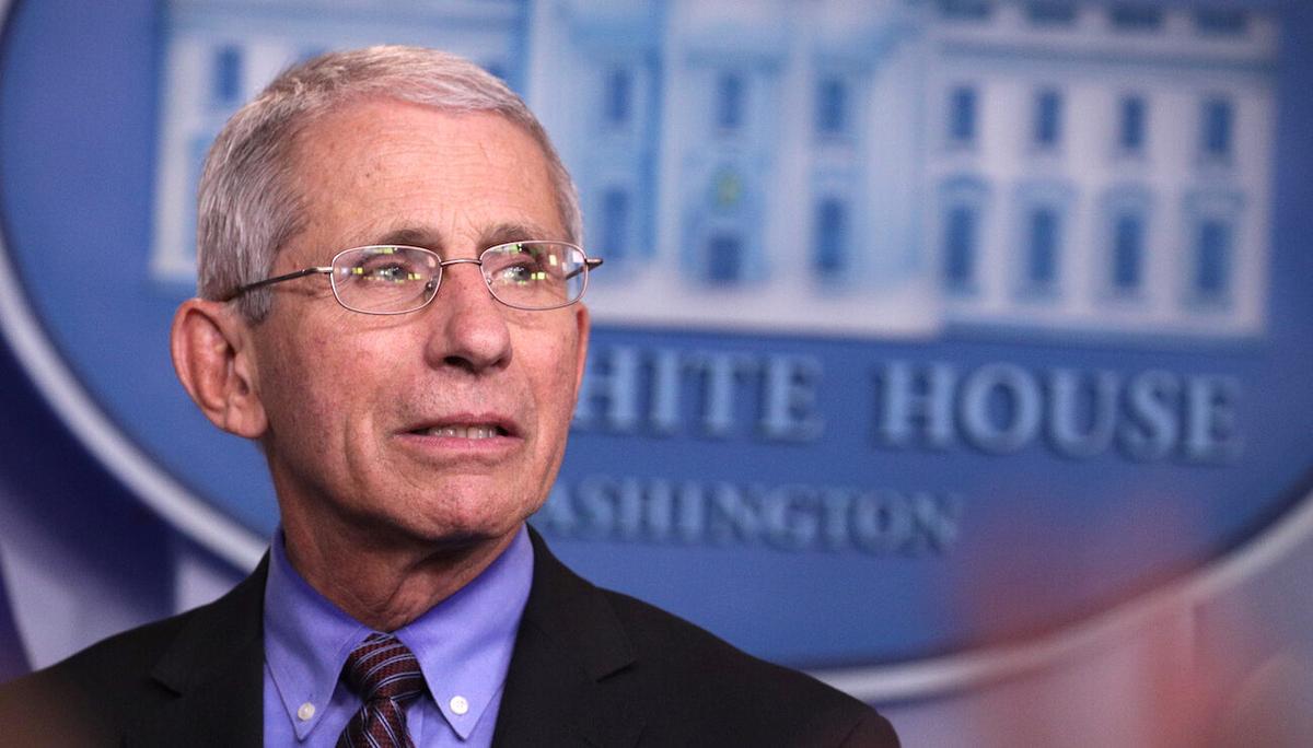 Swine Flu From China Could Cause Another Pandemic, Fauci Says