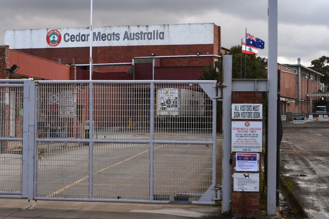 Federal Government Wants Answers From State For Abattoir Outbreak