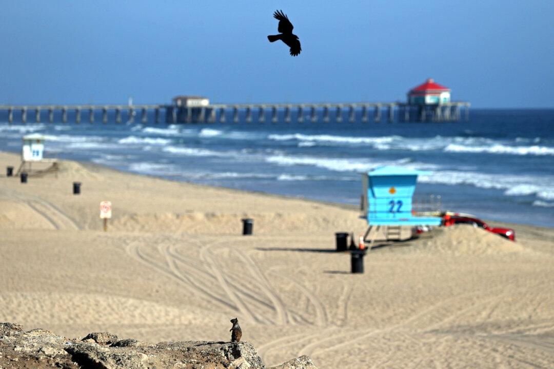 Newsom Approves Reopening of 2 Orange County Beaches for ‘Active Recreation’