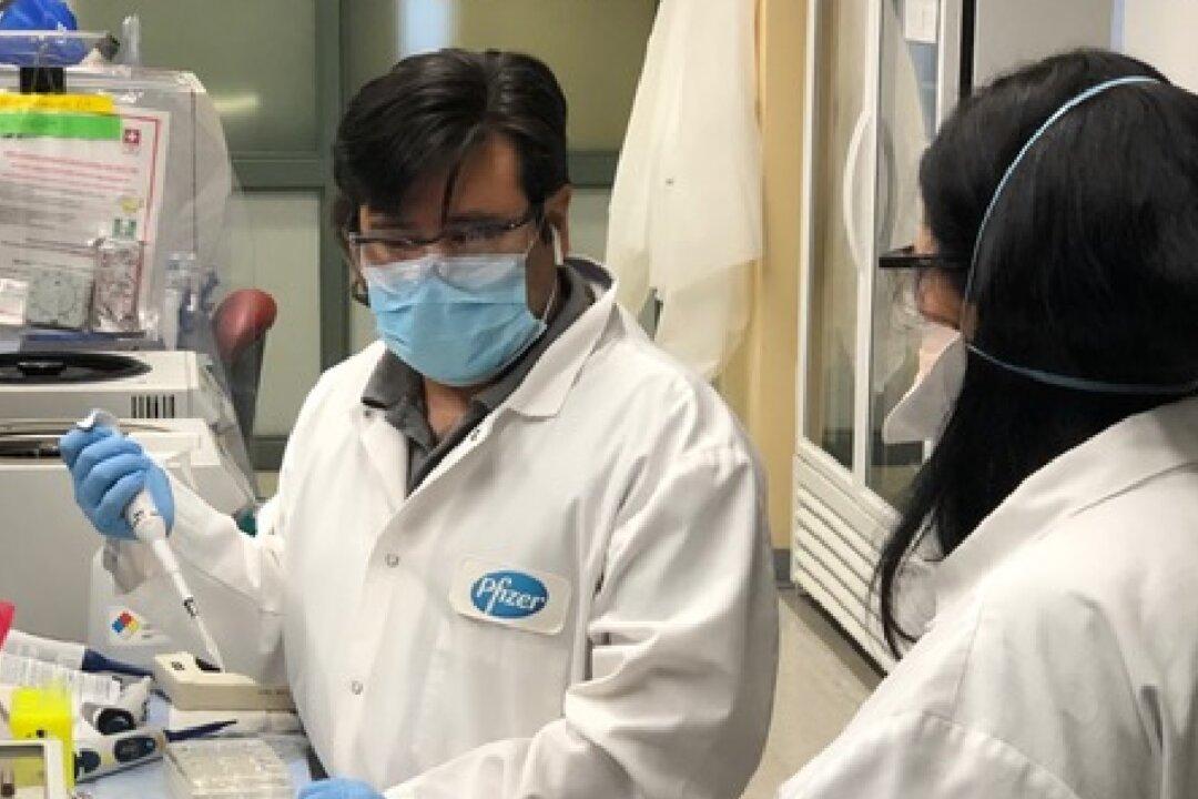 Pfizer Starts Human Trials of Potential CCP Virus Vaccines