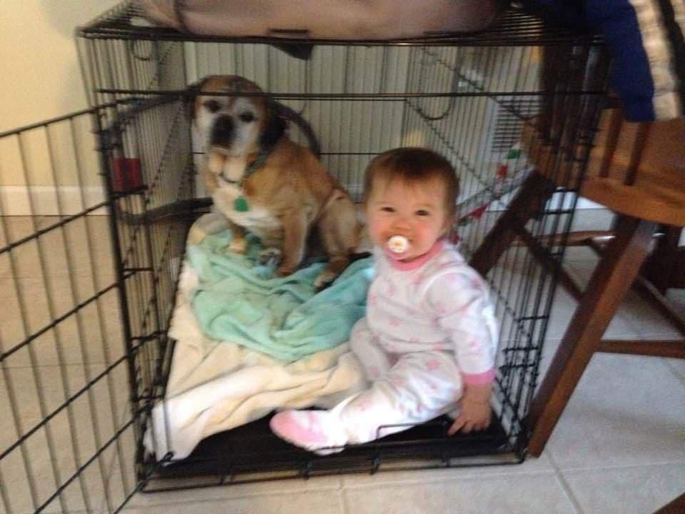 (Courtesy of <a href="https://www.facebook.com/crystal.hopkins.946">Crystal Hopkins</a>)