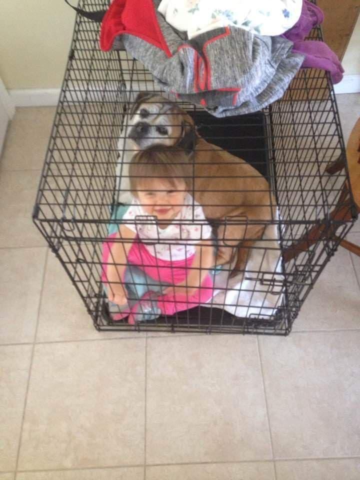 (Courtesy of <a href="https://www.facebook.com/crystal.hopkins.946">Crystal Hopkins</a>)