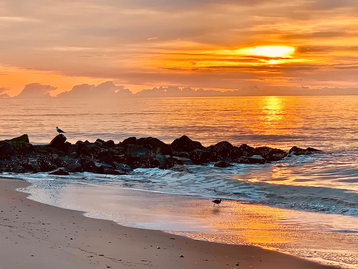 Visiting Charleston on a Genuine ‘Sandlapper’ Vacation