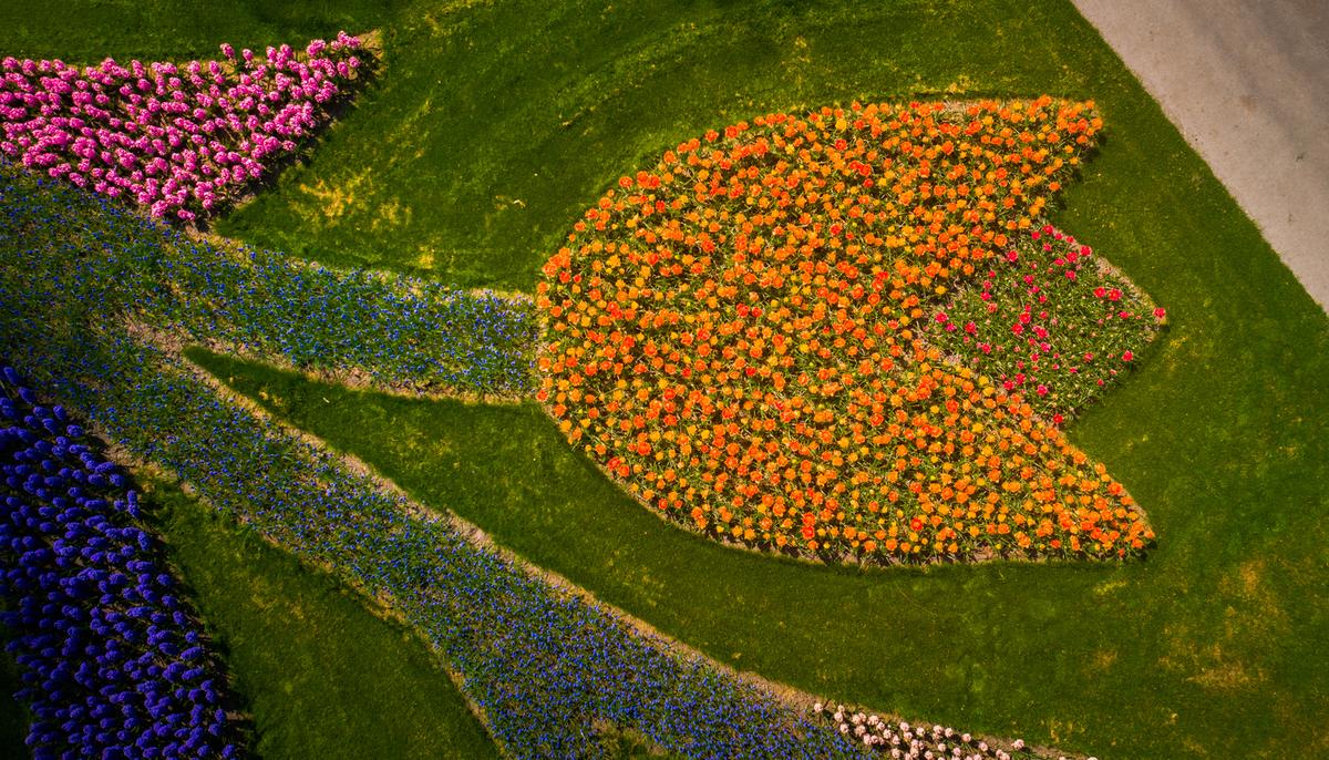 Photographer Captures Images of the World’s Most Beautiful Flower Garden With No Visitors