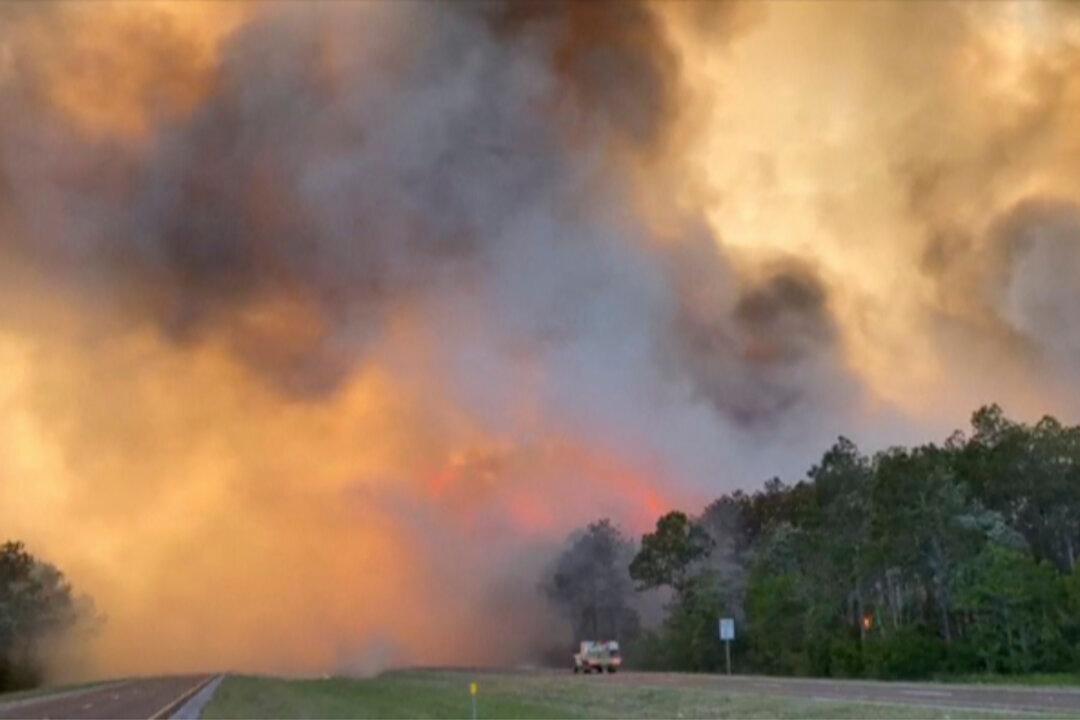 Hundreds Evacuated as Wildfires Rage in Florida Panhandle