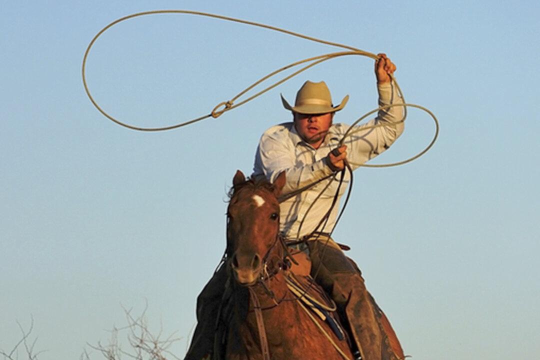 Unsuspecting Bike Thief Pursued and Lassoed by Real Cowboy on Horseback in Store Parking Lot