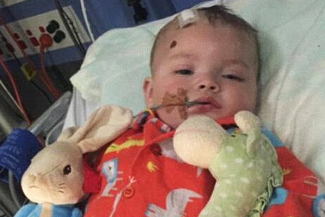 Brave Little Boy Once Abused by His Uncle for 4 Hours Amazes Family With Incredible Progress