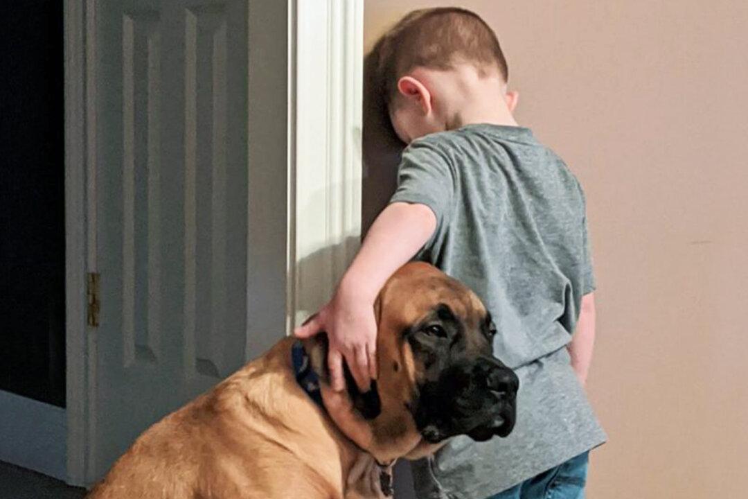 Dog Accompanies 3-Year-Old Boy During Timeout So He Won’t Feel Lonely