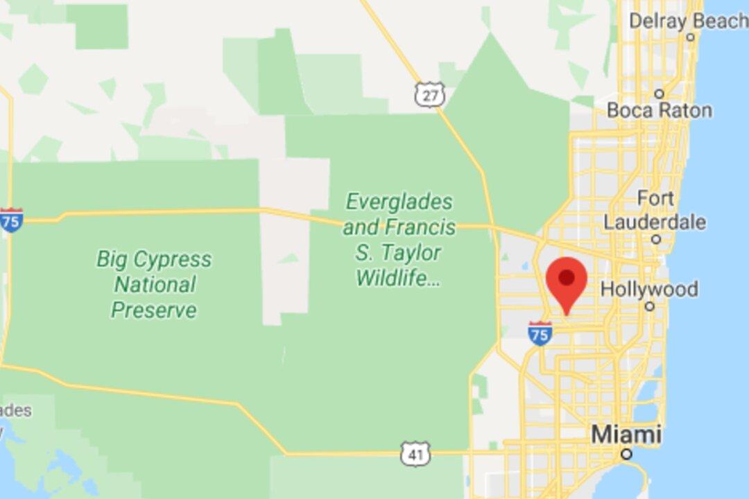 Plane Crash Kills a Student Pilot and Injures Two Others