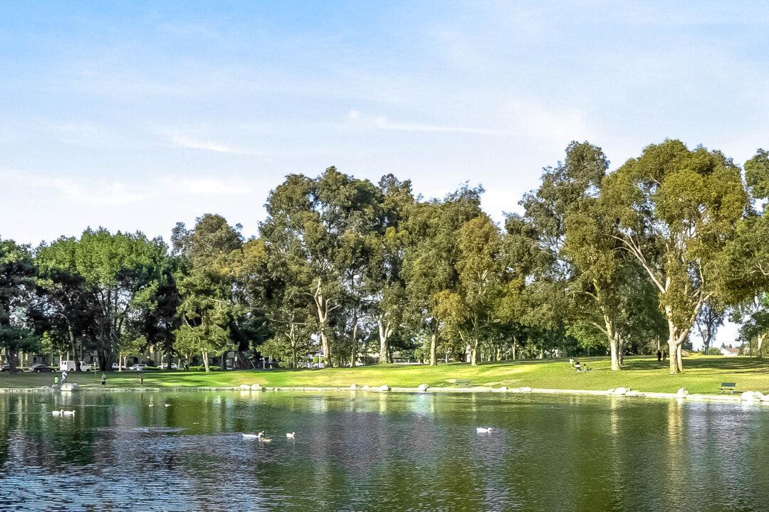 Fountain Valley Cuts Park’s Homeless Population by 80 Percent: City Councilman