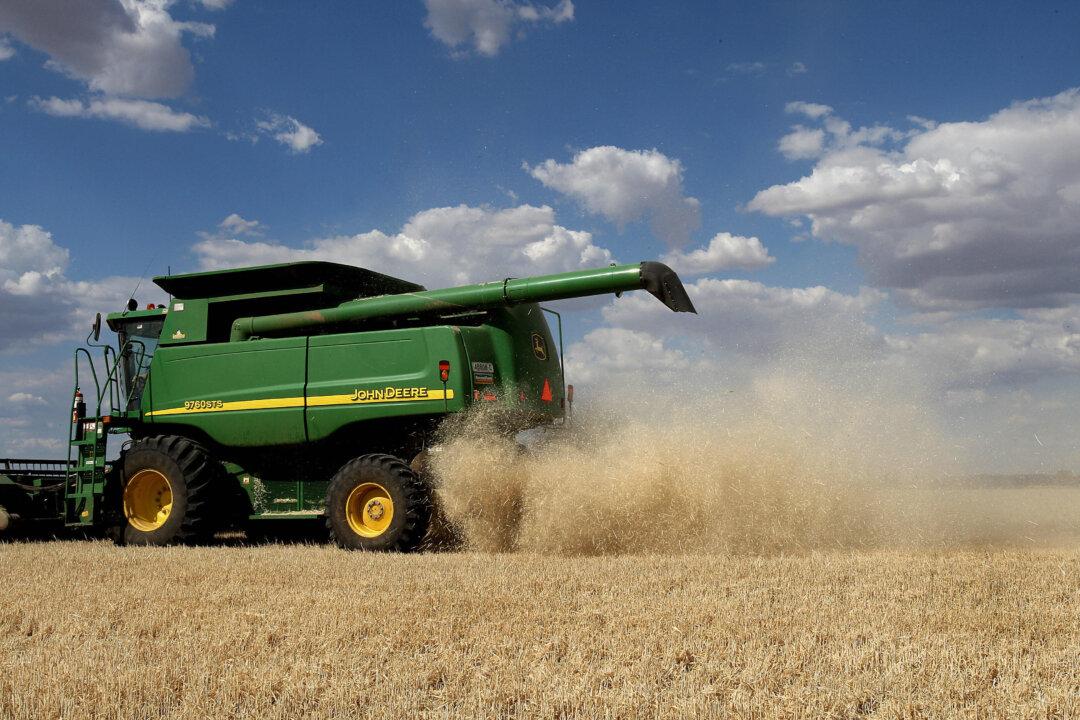 China’s Australian Barley Tariff Has ‘No Basis’: Graincorp CEO