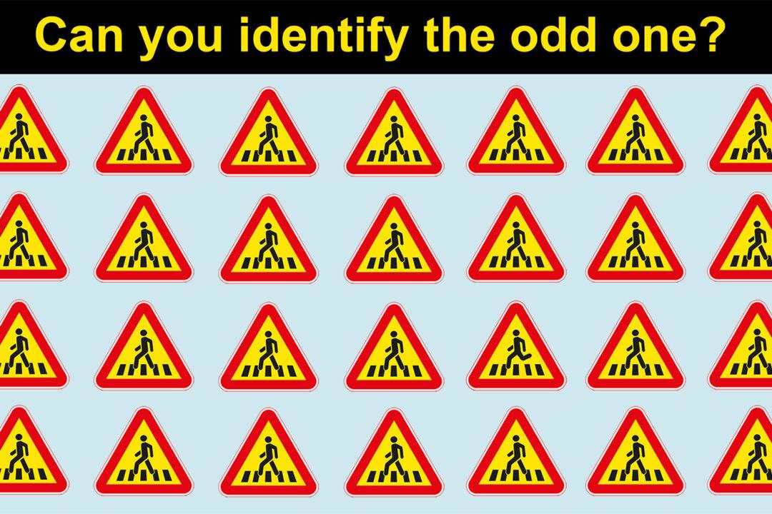 Picture Puzzles: How Fast Can You Spot the Odd Symbol Out From These Images?