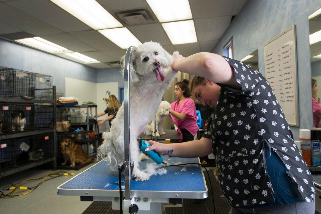 COVID-19 Protection Measures Extended Even As More Businesses Reopen in Canada