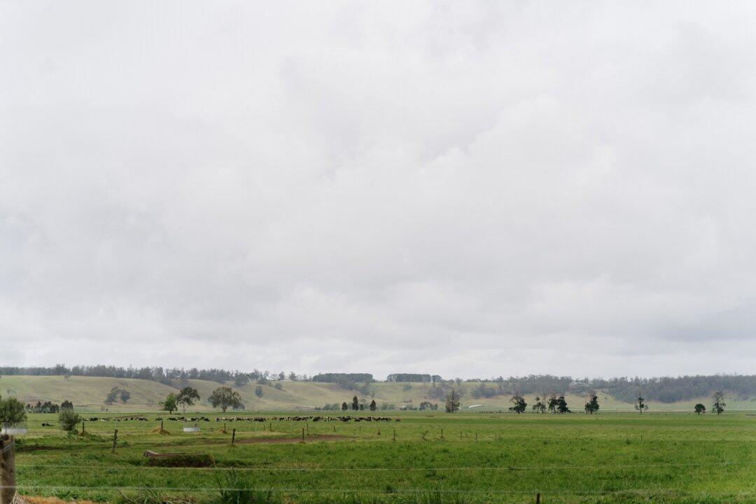 Grants Empower Aussie Small and Medium Enterprises to Diversify and Expand Global Exports