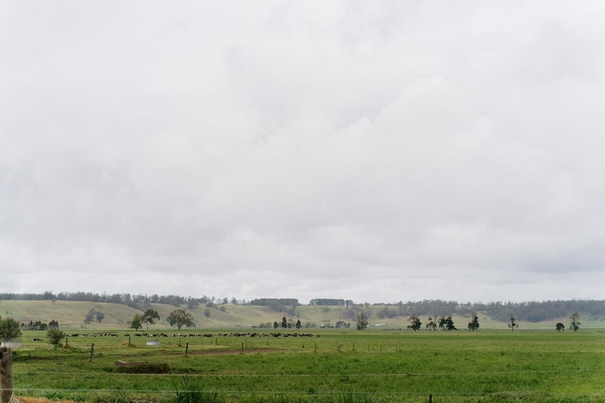 Grants Empower Aussie Small and Medium Enterprises to Diversify and Expand Global Exports